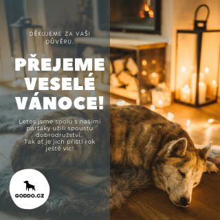 ✨✨✨🎄🐕 #psieshop #goddocz #mejteseradi❤️