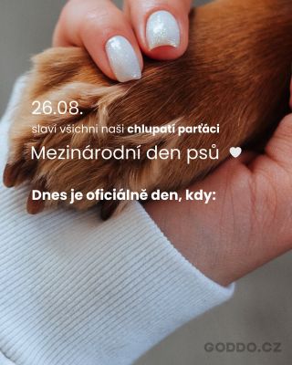 Dnes slavíme mezinárodní den psů! Ale upřímně - který den není “jejich”?😅 ✔️Válí se v našich peřinách ✔️Neustále na nás...